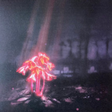 Вінілова платівка Enter Shikari – A Kiss For The Whole World (LP, Album, Limited Edition, Stereo, Sunset, Vinyl)