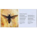 Tiamat – Wildhoney (CD, Album, Reissue)