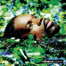 Menelik – O.Q.P. (2LP, Album, Reissue, Vinyl)