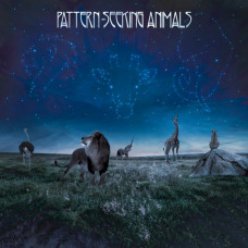 Вінілова платівка Pattern-Seeking Animals – Pattern-Seeking Animals (2LP, CD, Album, Stereo, 180 Gram, Vinyl)
