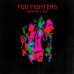 Foo Fighters – Wasting Light (2EP, 12", 45 RPM, Album, 180 Gram, Vinyl)