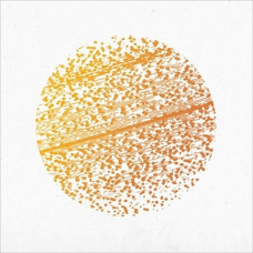 Вінілова платівка The Gathering – Beautiful Distortion (LP, Album, Vinyl)