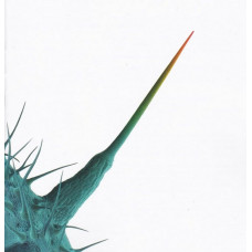 CD диск Peter Gabriel – And I'll Scratch Yours (CD, Album)