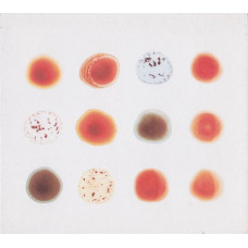 CD диск Peter Gabriel – Scratch My Back / And I'll Scratch Yours (2CD, Album, Reissue, Compilation)