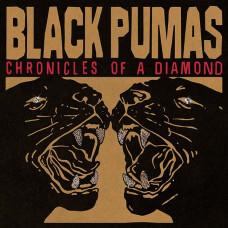 Вінілова платівка Black Pumas – Chronicles Of A Diamond (LP, Album, Stereo, Clear Vinyl)