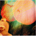 The Flaming Lips – Embryonic (CD, Album)
