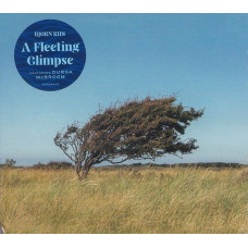 CD диск Bjorn Riis – A Fleeting Glimpse (CD, EP, Stereo)