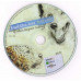 CD диск Arno Elias & Allain Bougrain Dubourg – Buddha Bar Nature (CD, DVD)