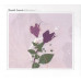 CD диск Daniel Lanois – Belladonna (CD, Album)