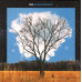 Fink – Bloom Innocent (CD, Album)