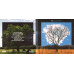 Fink – Bloom Innocent (CD, Album)