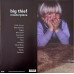 Big Thief – Masterpiece (LP, Album, Remastered, Vinyl) Big Thief – Masterpiece (LP, Album, Remastered, Vinyl)