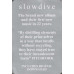 Slowdive – Slowdive (LP, Album, Vinyl)
