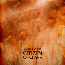 Вінілова платівка Agnes Obel – Citizen Of Glass (LP, Album, 180 Gram, Vinyl)