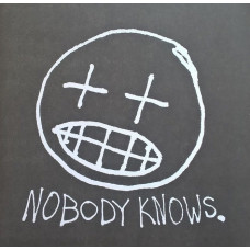 Вінілова платівка Willis Earl Beal – Nobody Knows (2LP, Album, Vinyl)