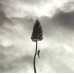 Manchester Orchestra – A Black Mile To The Surface (LP, Silver Vinyl) Manchester Orchestra – A Black Mile To The Surface (LP, Silver Vinyl)