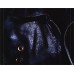 The Prodigy – Their Law: The Singles 1990-2005 (CD, Compilation)