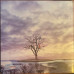 Alex G – God Save The Animals (LP, Album)