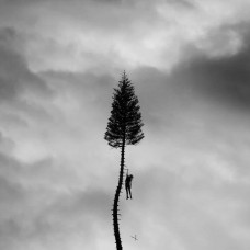 CD диск Manchester Orchestra – A Black Mile To The Surface (CD, Album)