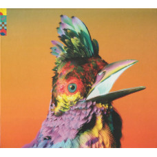 CD диск Flume – Palaces (CD, Album, Limited Edition)