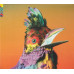 Flume – Palaces (CD, Album, Limited Edition)