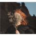 Goldfrapp – Silver Eye (CD, Album)