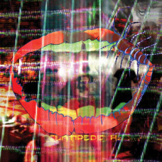 Вінілова платівка Animal Collective – Centipede Hz (LP, Album)