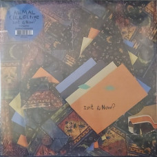 Вінілова платівка Animal Collective – Isn't It Now? (2LP, Reissue, Album)