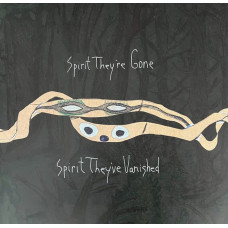 Вінілова платівка Animal Collective – Spirit They're Gone Spirit They've Vanished (2LP, Reissue, Remastered, Album)