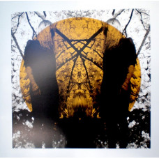 Вінілова платівка Austra – Feel It Break (2LP, Album)
