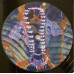 Avey Tare – Cows on Hourglass Pond (LP, Album)