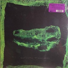 Вінілова платівка Avey Tare – Down There (LP, Album, Reissue)