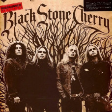 Вінілова платівка Black Stone Cherry – Black Stone Cherry (LP, Album, Reissue, Repress, 180 Gram, Vinyl)