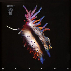 Вінілова платівка Sub Focus – Evolve (2LP, 45 RPM, Limited Edition, Clear Vinyl)