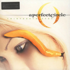 Вінілова платівка A Perfect Circle – Thirteenth Step (2LP, Album, Reissue, Stereo, 180 Gram, Vinyl)