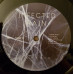 Infected Rain – Ecdysis (LP, Album, Vinyl)