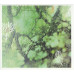 Bel Canto – Radiant Green (CD, Album)