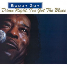 Вінілова платівка Buddy Guy – Damn Right, I've Got The Blues (LP, Album, Reissue, 180 gram, Vinyl)