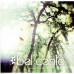 Bel Canto – Radiant Green (2LP, Album, Vinyl)