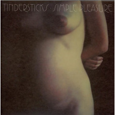 Вінілова платівка Tindersticks – Simple Pleasure (2LP, Album, Reissue, Remastered, 180g, Vinyl)