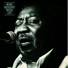 Вінілова платівка Muddy Waters – Muddy 