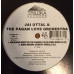 Jai Uttal And The Pagan Love Orchestra – Malkouns / Guru Brahma (Vinyl)