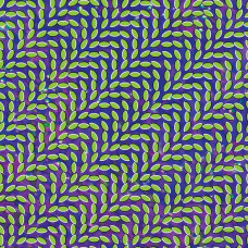 Вінілова платівка Animal Collective – Merriweather Post Pavilion (2LP, Album, Limited Edition, Translucent Green and Bluish Vinyl)