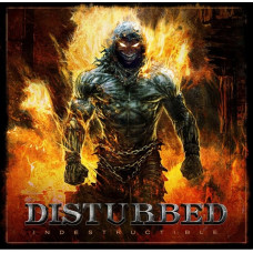Vinyl record Disturbed – Indestructible (LP, Album, Reissue, Vinyl)