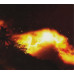 CD диск Palms – Palms (CD, Album)