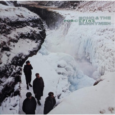 Вінілова платівка Echo & The Bunnymen – Porcupine (LP, Album, Reissue, Vinyl)
