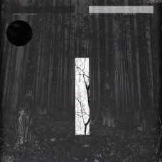 Вінілова платівка Chris Liebing – Another Day (2LP, Album, Vinyl)