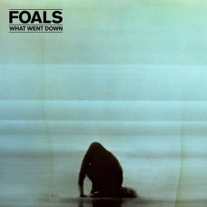 Вінілова платівка Foals – What Went Down (LP, Album, Stereo, 180g, Vinyl)