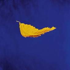 Вінілова платівка New Order – True Faith / 1963 (12