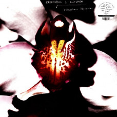 Вінілова платівка Chrystabell & David Lynch – Cellophane Memories (LP, Album, Clear Vinyl)